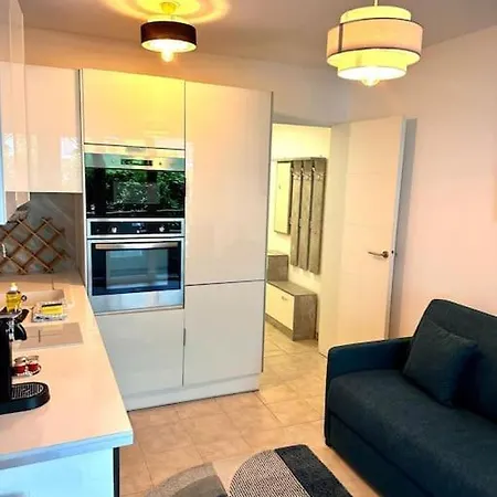 Michelet - T2 Avec Balcon Et Cuisine Equipee Appartement Nice